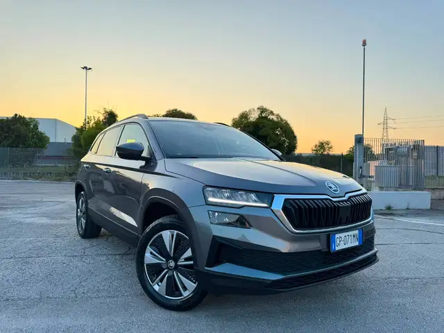 Skoda Karoq Karoq 2.0 tdi evo Executive 115cv dsg