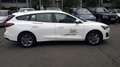 Ford Focus Turnier 1,0 EcoBoost Hybrid Titanium Aut. *INVE... Weiß - thumbnail 4