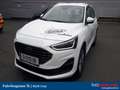 Ford Focus Turnier 1,0 EcoBoost Hybrid Titanium Aut. *INVE... Weiß - thumbnail 1