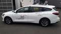 Ford Focus Turnier 1,0 EcoBoost Hybrid Titanium Aut. *INVE... Weiß - thumbnail 8