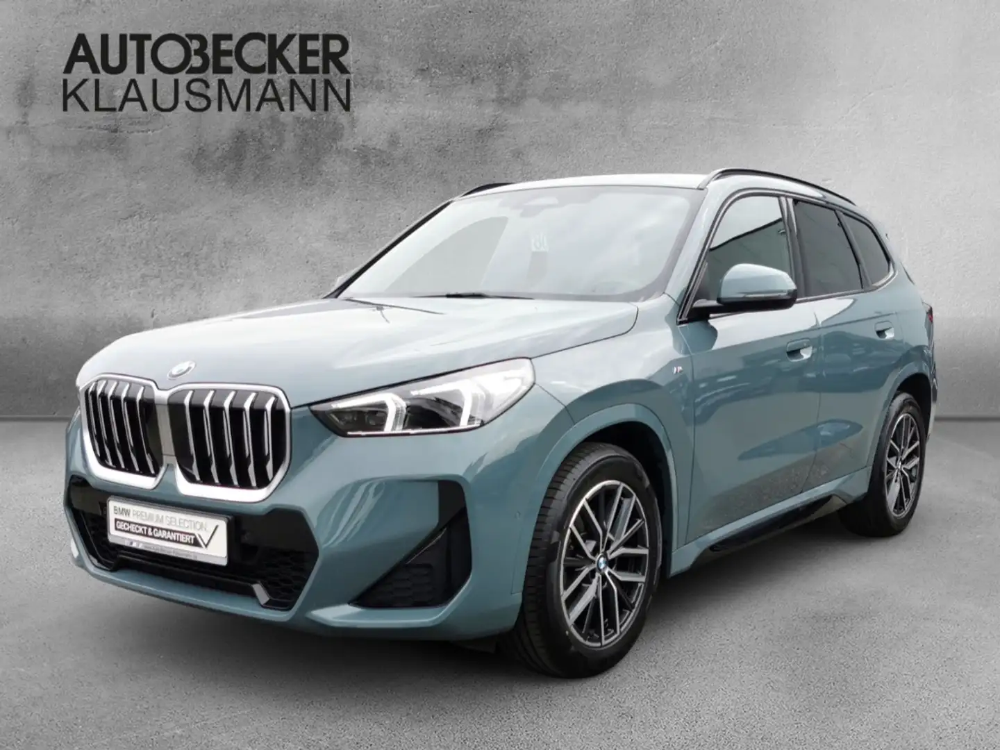 BMW X1 sDRIVE 18d M SPORT AUTOMATIK 18''NAVI LED PDC KAME Verde - 1