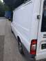 Ford Transit Bus Tourneo 2,2 Білий - thumbnail 2