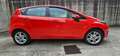 Ford Fiesta Fiesta VI 2013 5p 1.5 tdci Plus 75cv E6 Rosso - thumbnail 2
