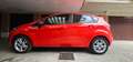 Ford Fiesta Fiesta VI 2013 5p 1.5 tdci Plus 75cv E6 Rosso - thumbnail 1