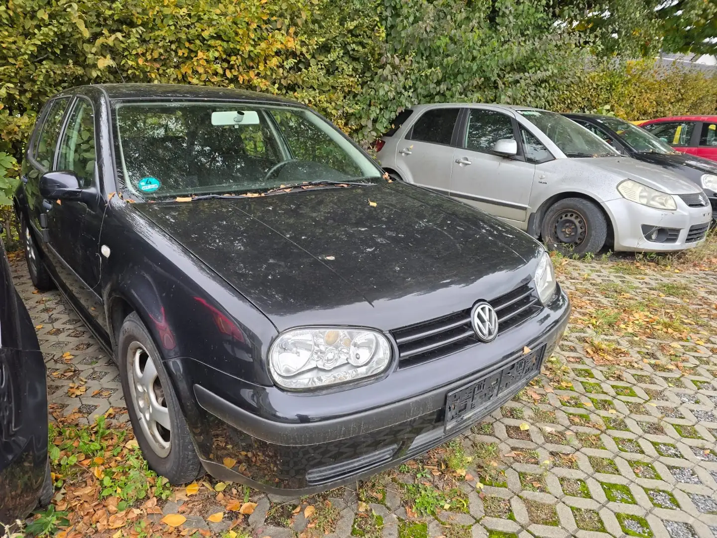 Volkswagen Golf Golf  1.6 - 1