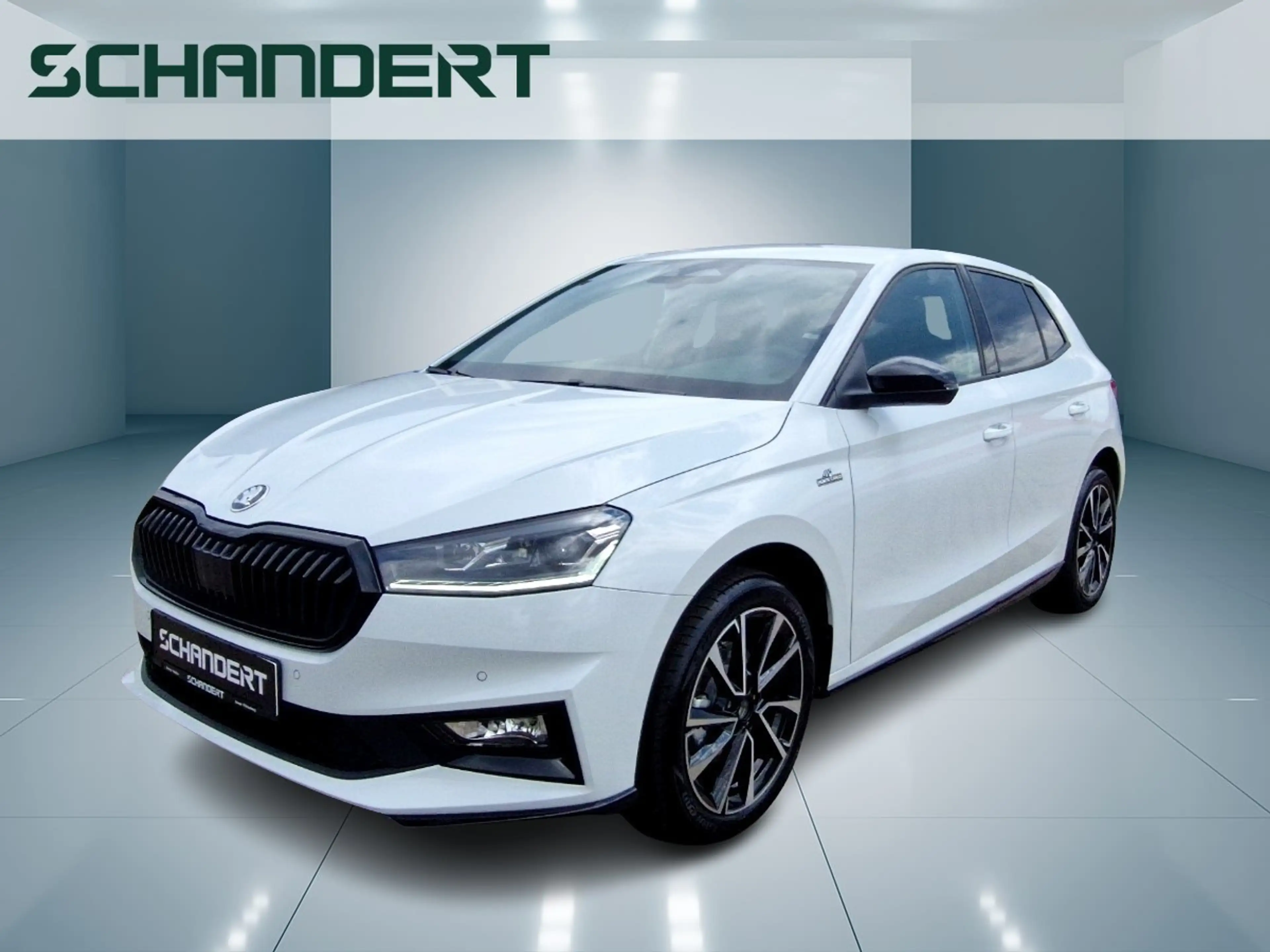 Skoda Fabia 1.0 TSI Monte Carlo LED ACC Sitzhzg Klimaautoma