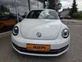 Volkswagen Beetle Sport Xenon Klimaanlage Lederlenkrad Sportfahrwerk Weiß - thumbnail 21
