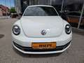 Volkswagen Beetle Sport Xenon Klimaanlage Lederlenkrad Sportfahrwerk Weiß - thumbnail 2