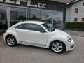 Volkswagen Beetle Sport Xenon Klimaanlage Lederlenkrad Sportfahrwerk Weiß - thumbnail 8