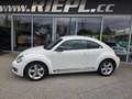 Volkswagen Beetle Sport Xenon Klimaanlage Lederlenkrad Sportfahrwerk Weiß - thumbnail 7