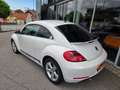 Volkswagen Beetle Sport Xenon Klimaanlage Lederlenkrad Sportfahrwerk Weiß - thumbnail 9