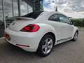 Volkswagen Beetle Sport Xenon Klimaanlage Lederlenkrad Sportfahrwerk Weiß - thumbnail 6