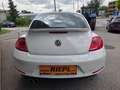 Volkswagen Beetle Sport Xenon Klimaanlage Lederlenkrad Sportfahrwerk Weiß - thumbnail 5