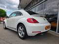 Volkswagen Beetle Sport Xenon Klimaanlage Lederlenkrad Sportfahrwerk Weiß - thumbnail 4