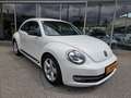 Volkswagen Beetle Sport Xenon Klimaanlage Lederlenkrad Sportfahrwerk Weiß - thumbnail 1