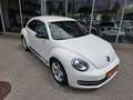 Volkswagen Beetle Sport Xenon Klimaanlage Lederlenkrad Sportfahrwerk Weiß - thumbnail 3