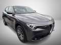 Alfa Romeo Stelvio 2.2 Turbodiesel 210 CV AT8 Q4 Super Grigio - thumbnail 1
