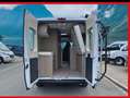 Fiat Ducato Chausson Weiß - thumbnail 12