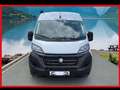 Fiat Ducato Chausson Weiß - thumbnail 15