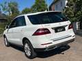 Mercedes-Benz ML 350 CDI BlueTec*Historie*360.Cam*AHK*Gepflegt Blanc - thumbnail 3