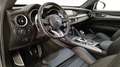 Alfa Romeo Stelvio 2.2 t Veloce Q4 210cv auto Grau - thumbnail 11