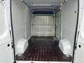 Fiat Ducato 35 2.3 Mjt 140CV AT9 PM-TM Furgone Weiß - thumbnail 18