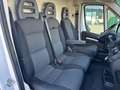 Fiat Ducato 35 2.3 Mjt 140CV AT9 PM-TM Furgone Weiß - thumbnail 8