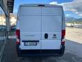 Fiat Ducato 35 2.3 Mjt 140CV AT9 PM-TM Furgone Weiß - thumbnail 5