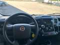Fiat Ducato 35 2.3 Mjt 140CV AT9 PM-TM Furgone Weiß - thumbnail 10