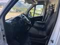 Fiat Ducato 35 2.3 Mjt 140CV AT9 PM-TM Furgone Weiß - thumbnail 9