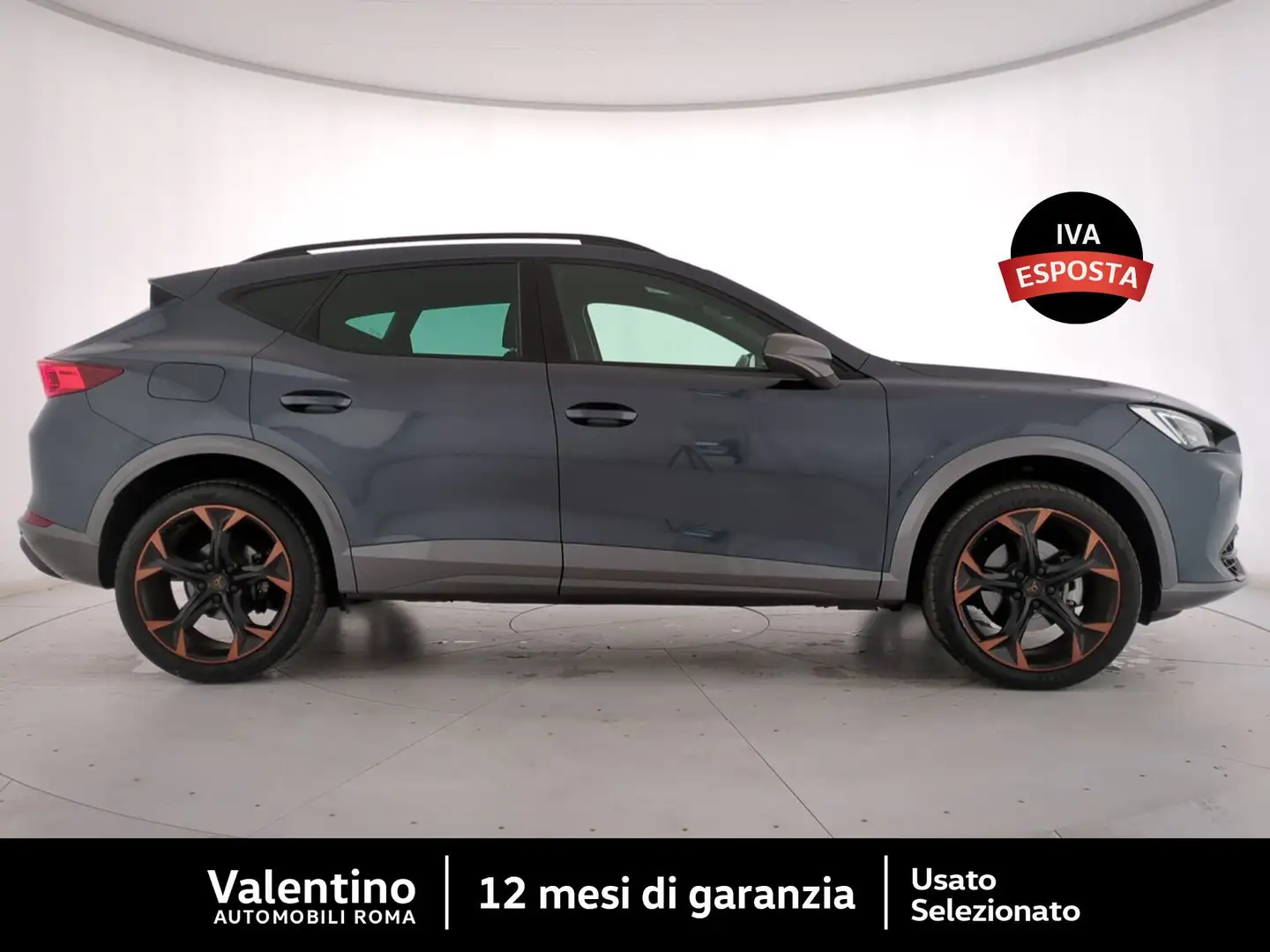 CUPRA Formentor 1.5 TSI DSG Gris - 2