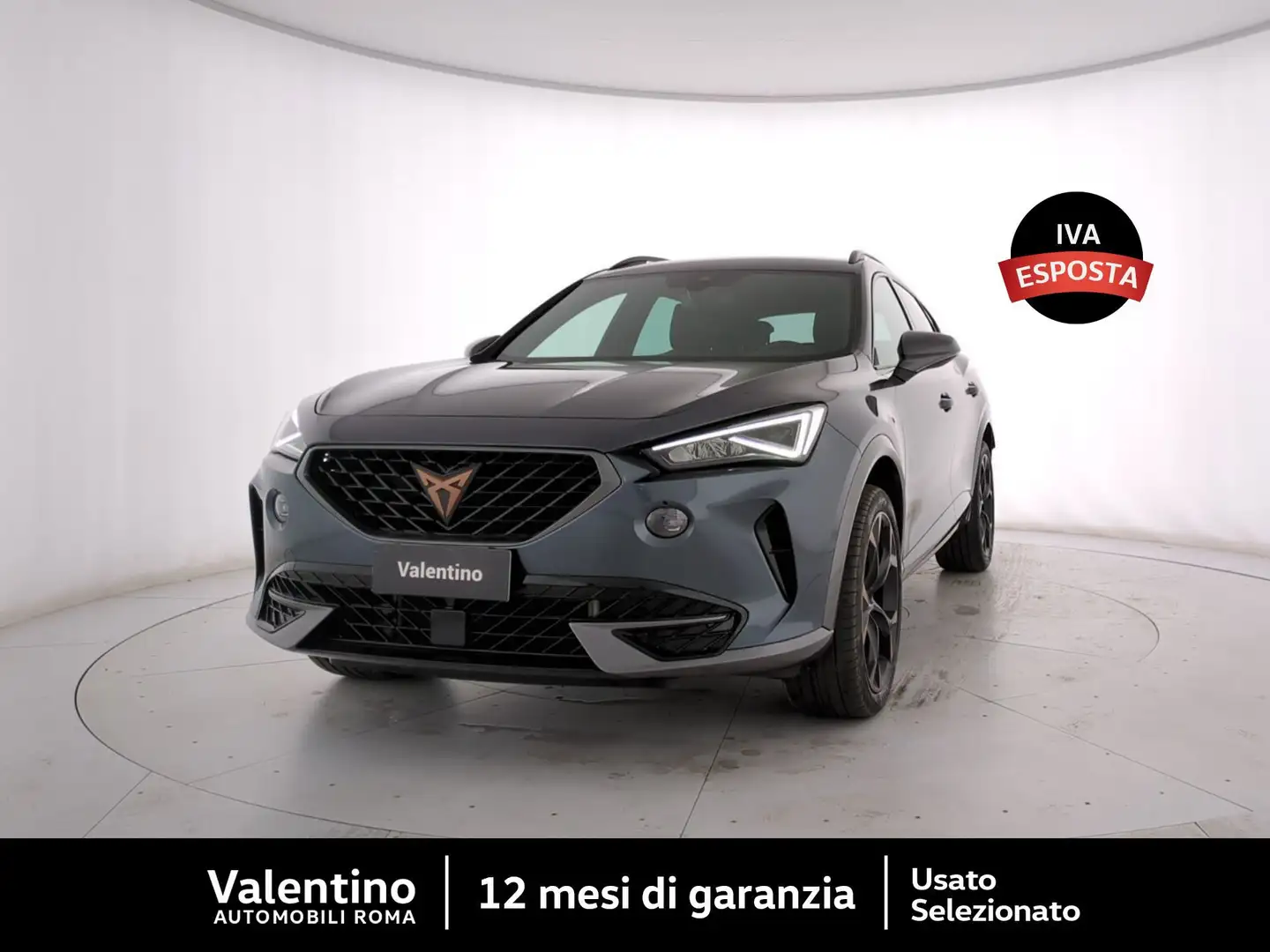 CUPRA Formentor 1.5 TSI DSG Gris - 1