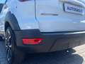 Ford EcoSport 1.0 EcoBoost 125 CV Start&Stop Active Bianco - thumbnail 10