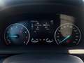 Ford EcoSport 1.0 EcoBoost 125 CV Start&Stop Active Bianco - thumbnail 11