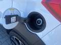 Ford EcoSport 1.0 EcoBoost 125 CV Start&Stop Active Bianco - thumbnail 13