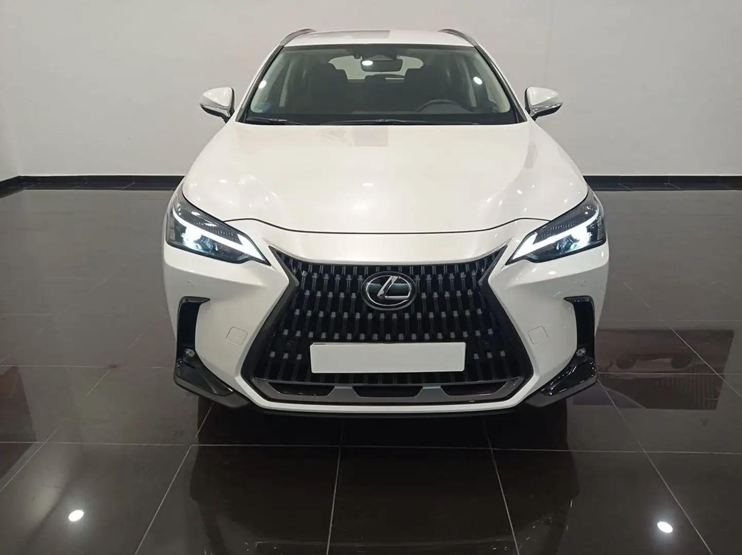 Lexus NX 350h Business City 4WD Blanco - 2