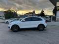 Audi Q5 Audi Q5 2.0 TDI 170 CV quattro GARANZIA 24 MESI Wit - thumbnail 4
