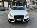 Audi Q5 Audi Q5 2.0 TDI 170 CV quattro GARANZIA 24 MESI Wit - thumbnail 6