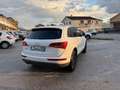 Audi Q5 Audi Q5 2.0 TDI 170 CV quattro GARANZIA 24 MESI Wit - thumbnail 8