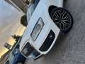 Audi Q5 Audi Q5 2.0 TDI 170 CV quattro GARANZIA 24 MESI Wit - thumbnail 2