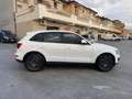 Audi Q5 Audi Q5 2.0 TDI 170 CV quattro GARANZIA 24 MESI Wit - thumbnail 7