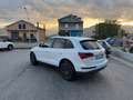 Audi Q5 Audi Q5 2.0 TDI 170 CV quattro GARANZIA 24 MESI Wit - thumbnail 3