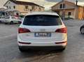 Audi Q5 Audi Q5 2.0 TDI 170 CV quattro GARANZIA 24 MESI Wit - thumbnail 5