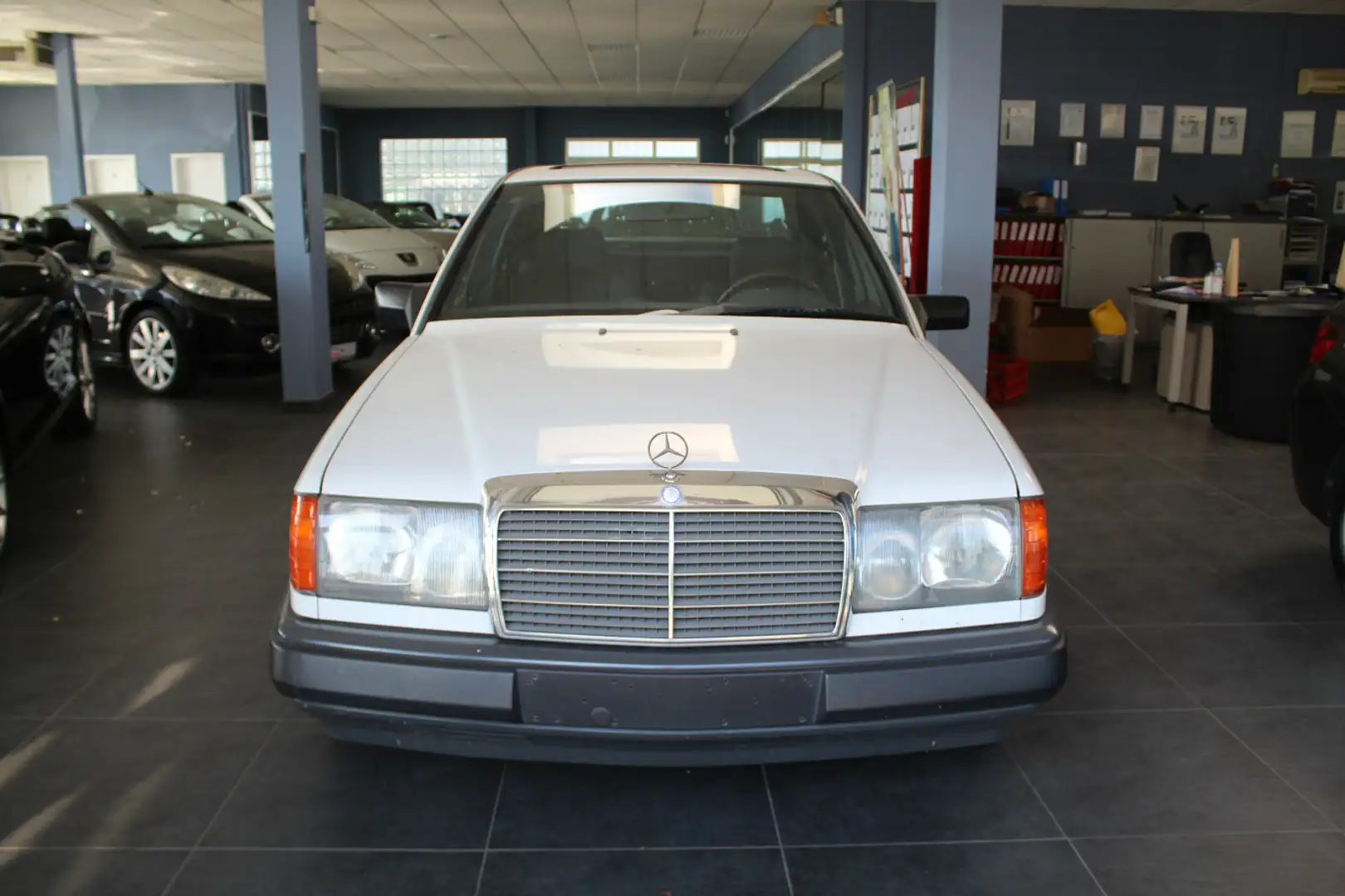 Mercedes-Benz 230 E H-Kenn./Doppel-Airbag/Rostfrei/Ungeschweißt Weiß - 2