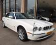 Jaguar XJ 3.5 V8 Executive UNIEK ! SLECHTS 20660Km bijela - thumbnail 3