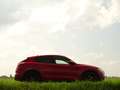 Alfa Romeo Stelvio 2.0 T AWD Sport | Brembo | Eibach | 310PK | Miron Rood - thumbnail 24