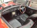 MG MGB Cabrio / Roadster Bj. 70 Schalter / Overdrive Rot - thumbnail 13