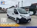 Fiat Ducato KASTENWAGEN 33 L2H1 140MT Blanc - thumbnail 1