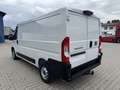 Fiat Ducato KASTENWAGEN 33 L2H1 140MT Blanc - thumbnail 10