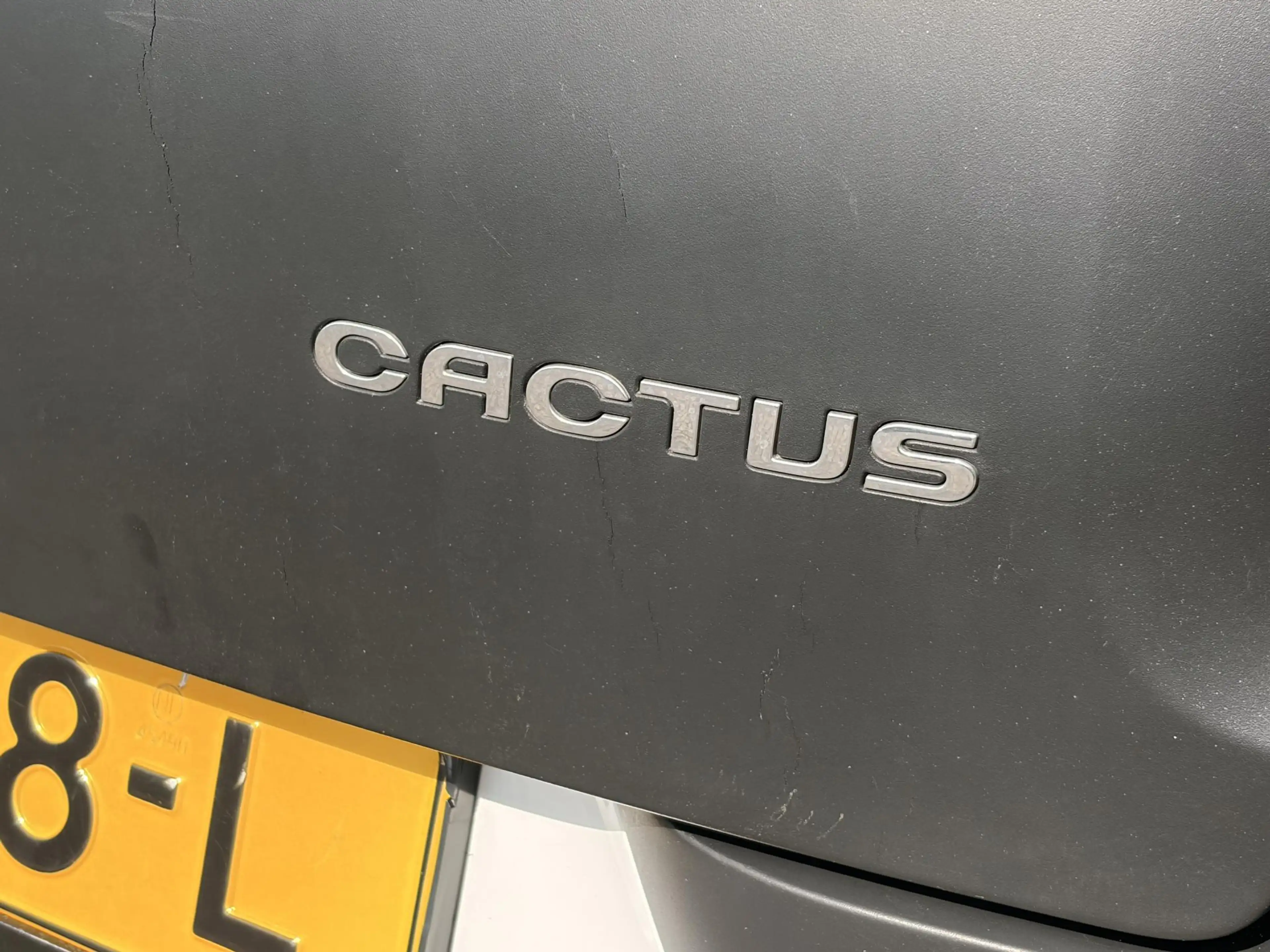 Citroen C4 Cactus 1.2 PureTech Feel | Cruise Control | Parkeersensor — photo 14